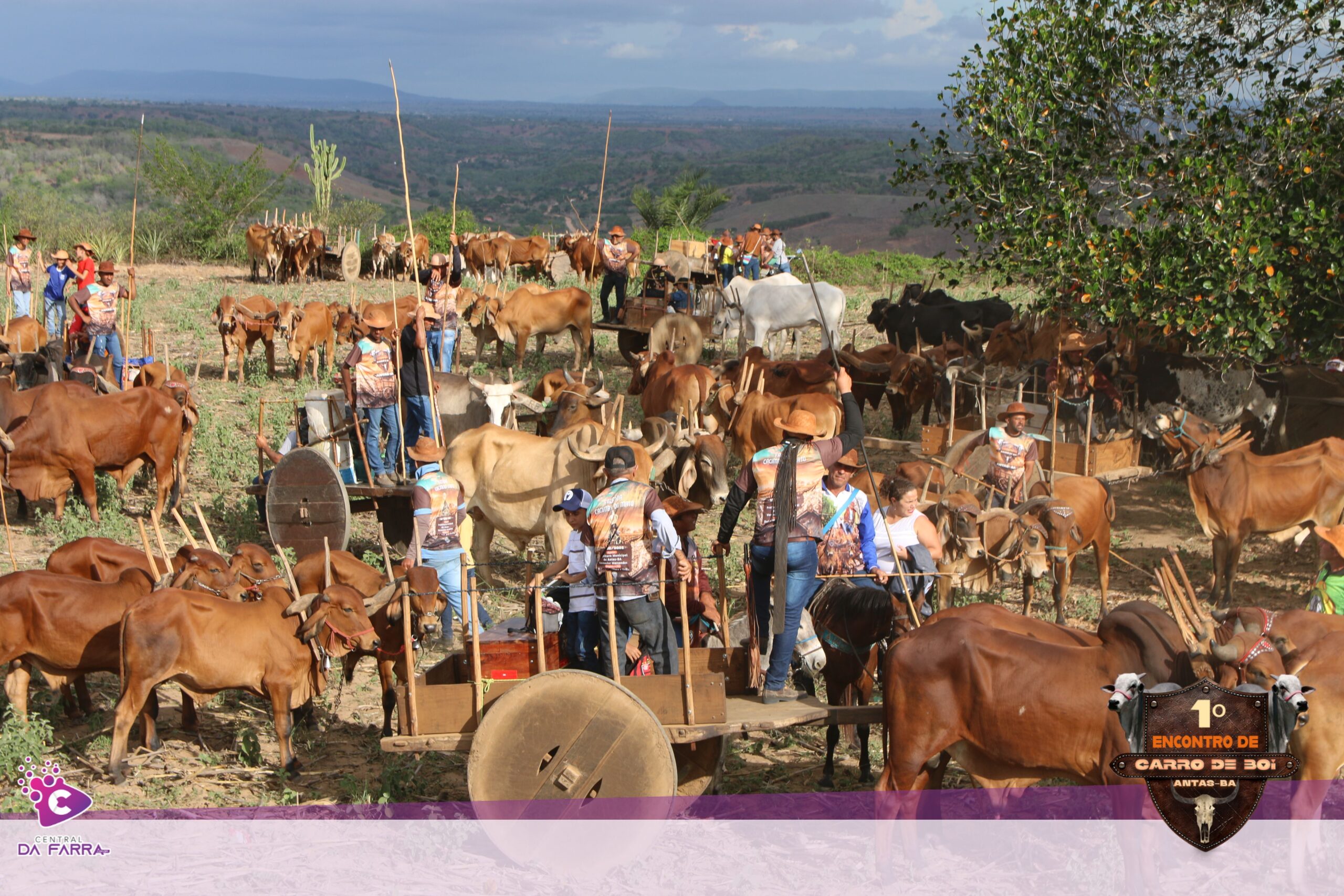 1º Encontro de Carro de Boi – Faz. Cacimba do Mato – Antas-BA